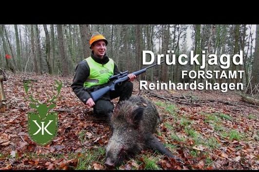 Drückjagd im Forstamt Reinhardshagen K&K Premium Jagd