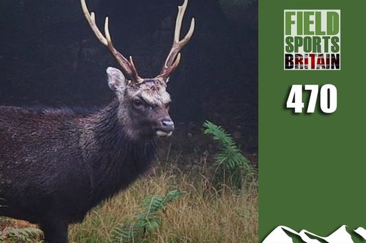 Fieldsports Britain - Stag Stalking Special