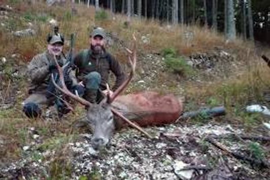 Jagd auf Karawankenhirsche/Hunting the Karawanken Mountain Stag