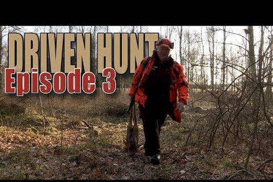 Driven Hunt - a roe deer with lead free bullet