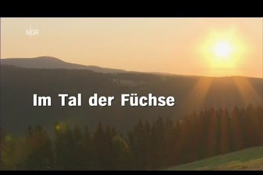 Im Tal der Fuechse - NDR 07.01.2014