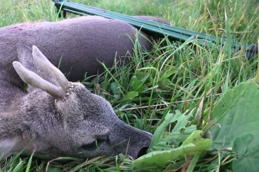 #VLOG7 - Das Corona Jagdjahr 2020 - Drückjagd 2020 - Bockjagd 2020 - Jagd auf Rehwild im Winter