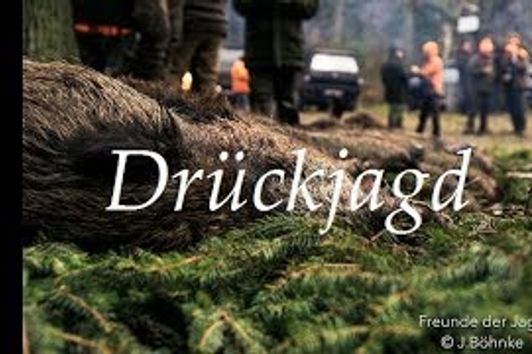 Drückjagd im Wilden Osten - Unterwegs mit den Hunter Brothers Teil 1