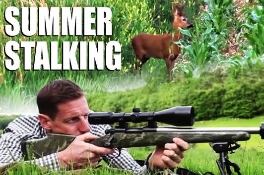 Summer Roebuck Stalking with Paul Childerley