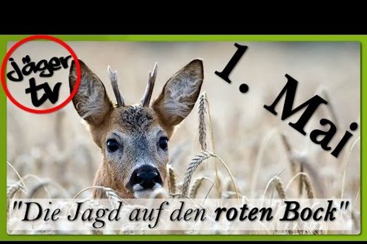 1. Mai "Die Jagd auf den roten Bock"