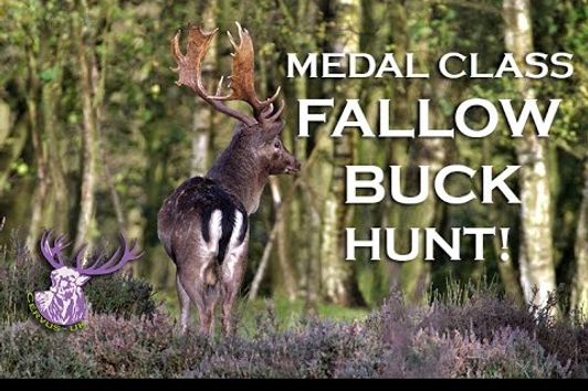 MONSTER MEDAL CLASS FALLOW BUCK HUNT!