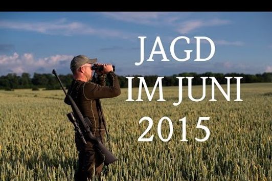 Jagd Juni 2015