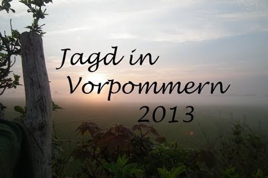 Jagd Mai in Vorpommern 2013 Bockjagd