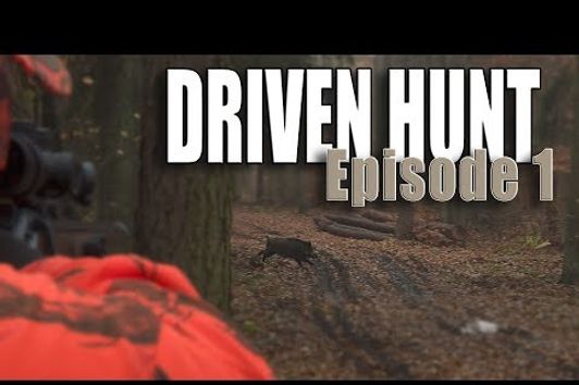 Driven hunt at Lutowko