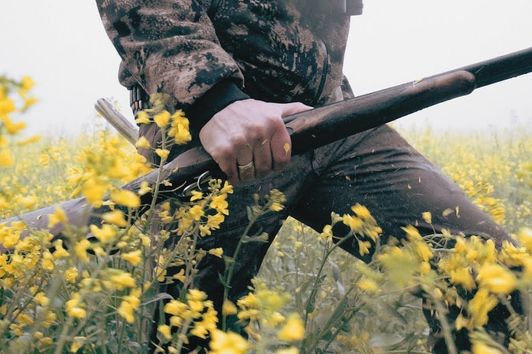 Eine Jagdzeit in Deutschland