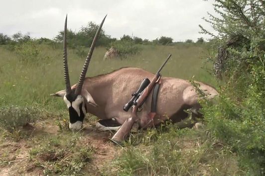 Huntingmovie - Hunting in Namibia