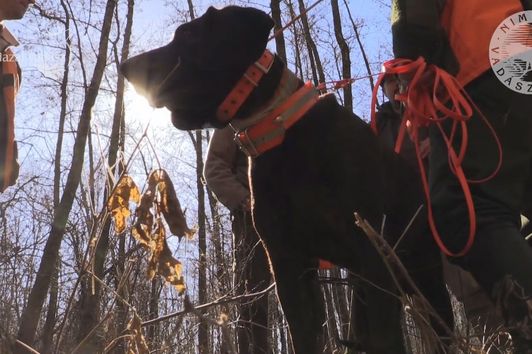 28. KASZÓ CUP Nationale Schweißhund Verbandsprüfung – Sendung vom 04. 03. 2017