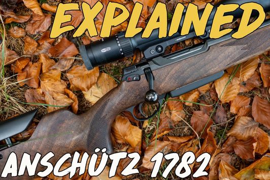 Explained - Anschütz 1782