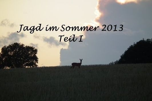 Jagd im Sommer 2013