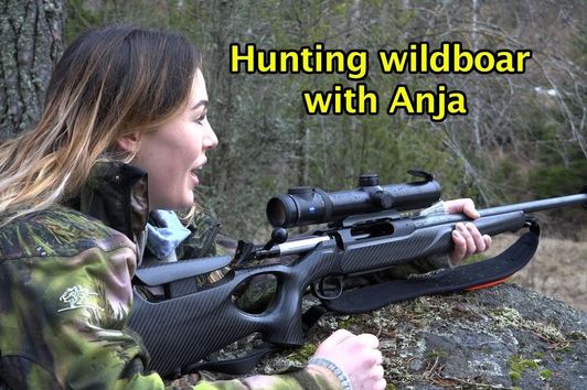 Hunting wildboar-- hog hunting--chasse sanglier- wildschwein jagd--keiler