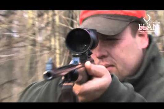 Driven Wild Boar Hunt in Hungary