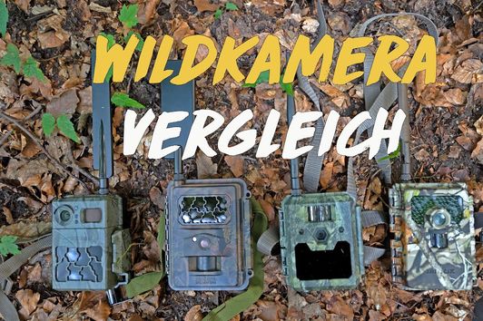 Wildkamera Vergleich - Seissiger, Secacam, ICUserver und Minox