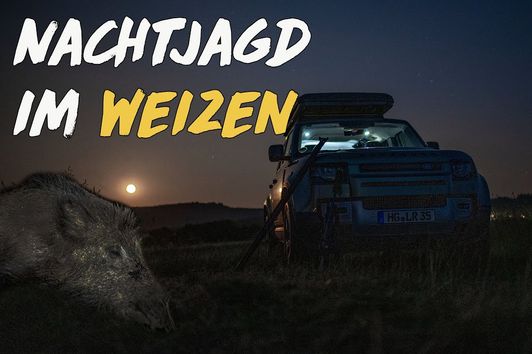 Nachtschicht: Weizenjagd bei Nacht