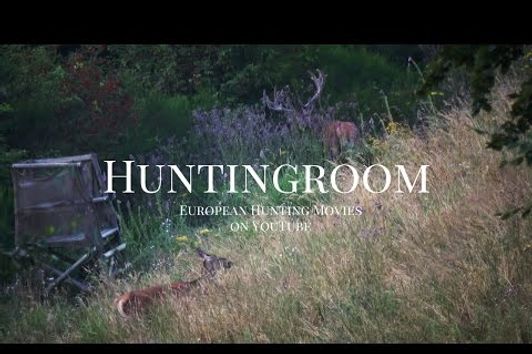 Huntingroom Jagdfilme - Best of August 2016 - Hirsche, Sauen und Rehböcke