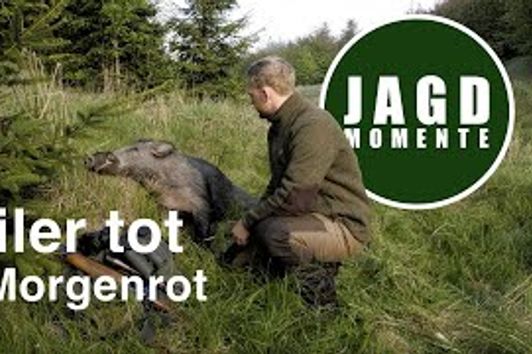 JagdMomente | Folge 13 | Keiler tot im Morgenrot