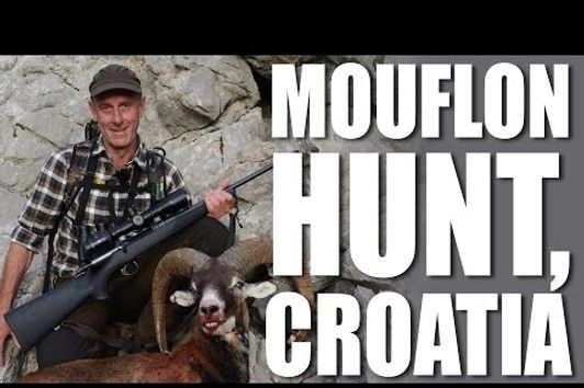 Mouflon Hunt, Croatia