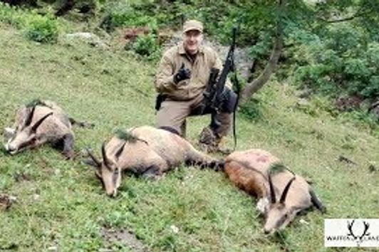 Chamois hunting- State Hunting Reserve  KOZOROG KAMNIK, Slovenia