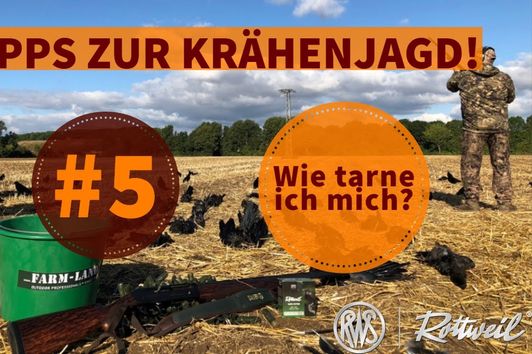 5 // Wie tarne ich mich bei der Krähenjagd?