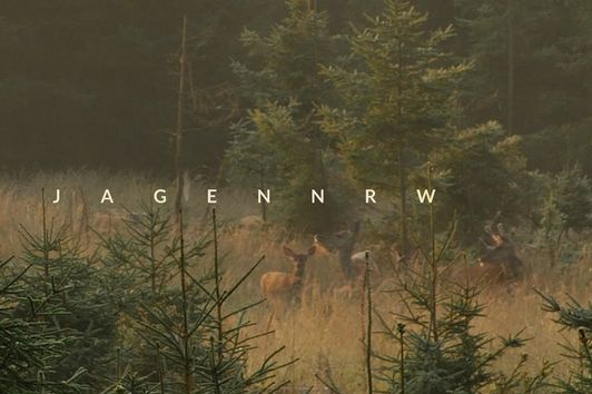 Rotwildjagd im August – Jägerglück im Morgentau – Hunt on Demand FreeEpisode – jagenNRW – HOD – Jagd