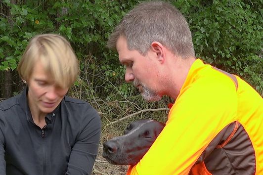 Erste Hilfe für den Jagdhund: Teil 4 - Starke Blutung