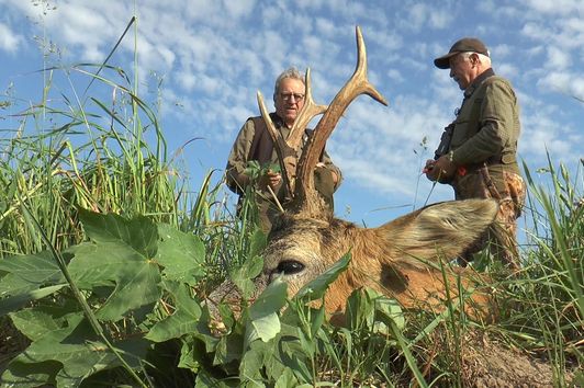 Abnormer Bock wird gestreckt! Anomalous roe buck killed!