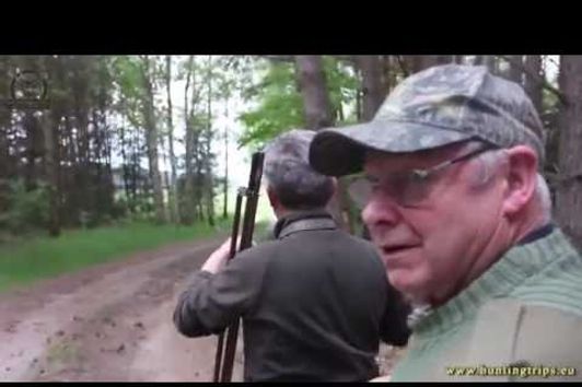 Hunting Collections 079 - Roe Buck Hunting In Poland , Bukkejagt I Polen , Bockjagd In Polen