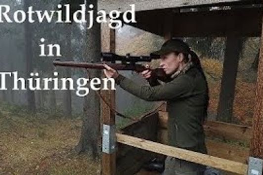 Jagd auf Rotwild in Thüringen