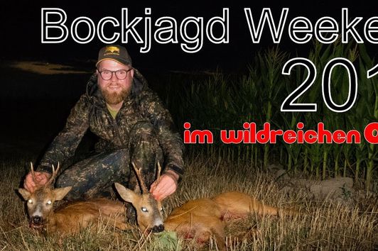 Bockjagd Weekend 2018 zur Blattzeit im wildreichen Osten