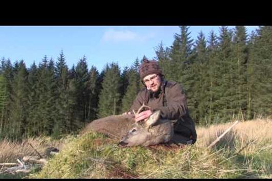 Roe buck hunting 2017 / bukkejakt i Skottland 2017