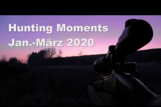 Hunting Moments , jagd, jakt, chasse, roebuck, rehbock, dachs, badger, fox, fuchs, rehwild,