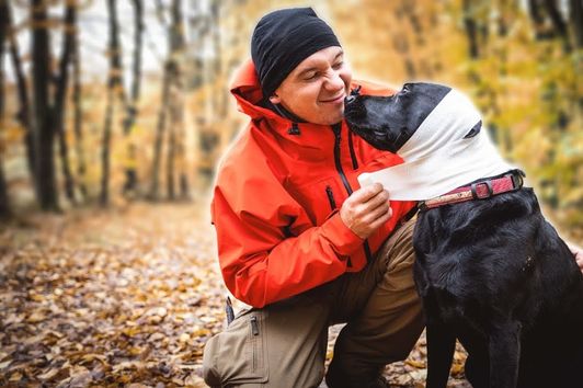 HUND VERLETZT 😱🩸- Erste Hilfe am Hund | Niklas on fire