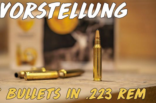 Vorstellung - Fox Bullets in .223 Rem.