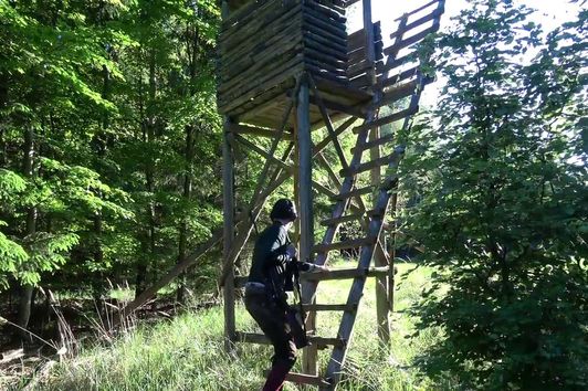 Bockjagd im Mai 2017 - Teil II