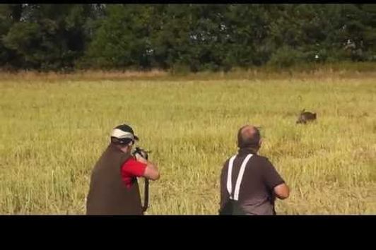 Schwarzwildjagd bei der Rapsernte 2012