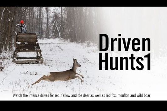 Driven Hunts 1 - Hunters Video