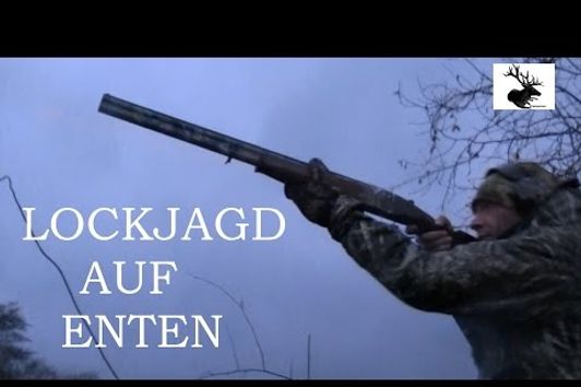 Lockjagd auf Enten ( German Waterfowl Hunting )