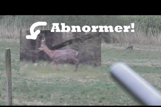 Bockjagd 2017: Der Abnorme aus Meckpomm