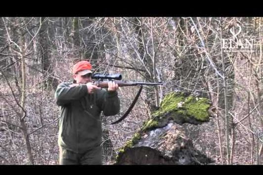 DRIVEN WILD BOAR HUNT IN HUNGARY II.