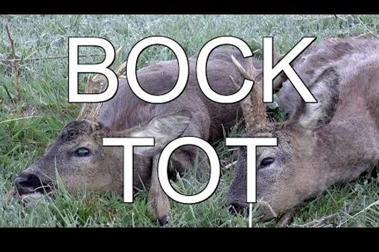 Bockjagd im Mai - Teil II - Bockdublette