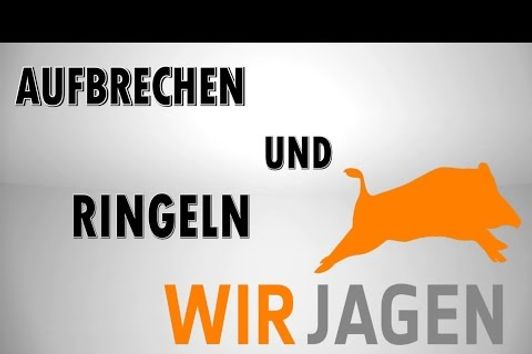 AUFBRECHEN & RINGELN | wirjagen.de |