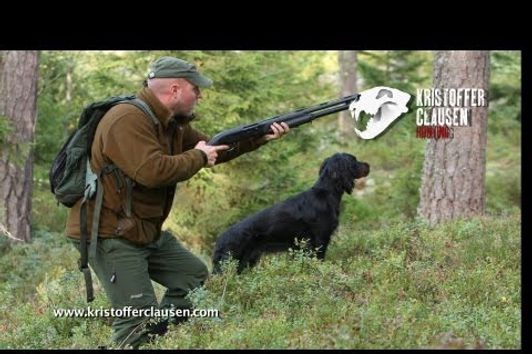 Hunting capercaillie and blackgrouse by Kristoffer Clausen