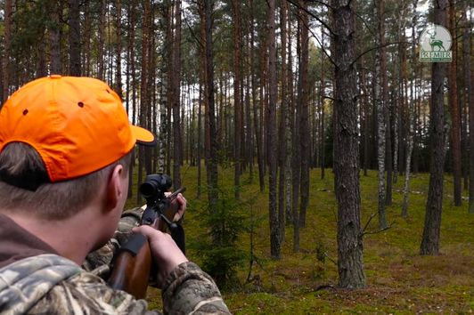 Driven Hunt in Poland / Drivjagt I Polen / Chasse en battue / Druckjagd