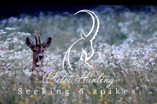 Pretot Hunting - Seeking 6 spikes - Roebuck hunt in France