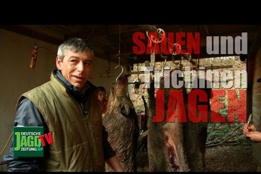 Alles rund um das Thema "Trichinen" - DJZ-TV