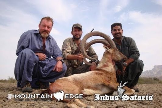 Hunting in Pakistan 2011